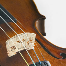 Load image into Gallery viewer, Stentor Student II Violin Outfit 1/2 - Golden Chestnut Gloss