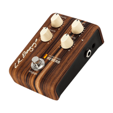 Load image into Gallery viewer, LR Baggs LRBALIGNREVERB Align Reverb Pedal