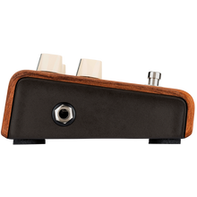 Load image into Gallery viewer, LR Baggs LRBALIGNREVERB Align Reverb Pedal