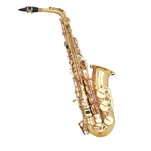Load image into Gallery viewer, Grassi SAL700 School Series Alto Saxophone Gold Lacquer
