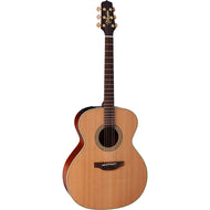 Takamine Natural Series Jumbo AC/EL Guitar in Natural Satin FinishTEN20