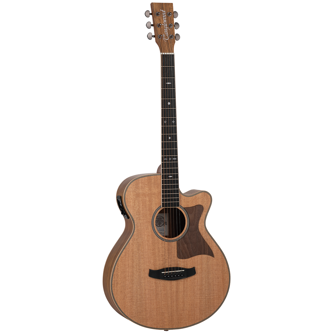 Tanglewood TRSFCEPW Reunion Australian Red Cedar Top Super Folk C/E with Pacific Walnut B/S