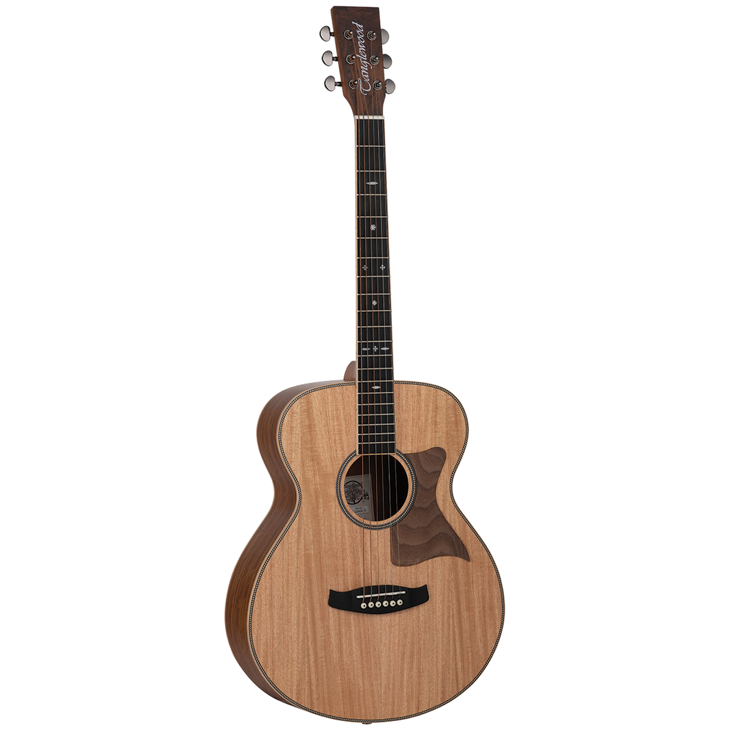Tanglewood TRU3-HR / TRPRO-F-HR Reunion Pro Solid Australian Red Cedar Top Folk with Hawaiian Rain Wood B/S