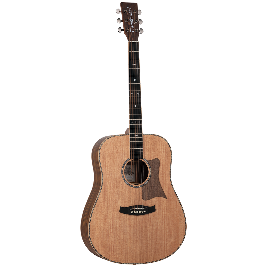 Tanglewood TRU5-HR / TRPRO-D-HR Reunion Pro Solid Australian Red Cedar Top Dreadnought with Hawaiian Rain Wood B/S