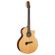 Tanglewood TSR2C MasterDesign all solid C/E with ABS Case