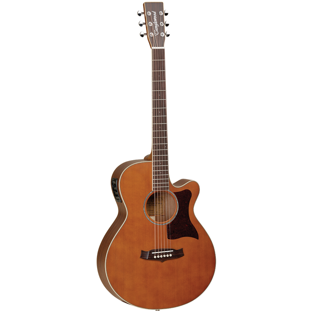 Tanglewood 45ASE Sundance Performance Pro Super Folk with ABS Case