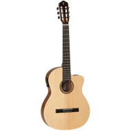 Tanglewood TWCE3 Winterleaf Classical Cutaway / Electric