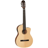 Tanglewood TWCE4 Winterleaf Solid Top Classical Cutaway / Electric