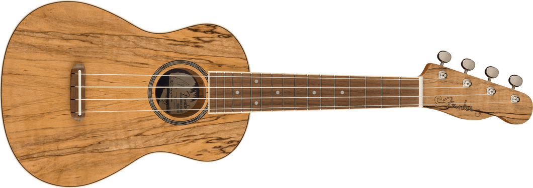 Fender Zuma Exotic Concert Ukulele, Walnut Fingerboard, Spalted Maple