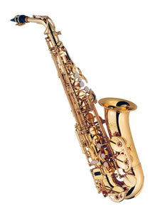 J MICHAEL STUDENT ALTO SAXOPHONE-LACQUER