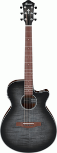 Ibanez AEG70 TCH Electric Guitar