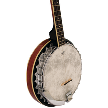 Load image into Gallery viewer, Barnes &amp; Mullins BJ300 &#39;Perfect&#39; 5-String Banjo
