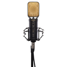 Load image into Gallery viewer, Eikon CM14USB Recording Condenser Microphone
