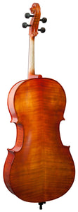 Hidersine HW3182AG-P Vivente Academy Finetune Cello Student Outfit 4/4 setup with Thomatik Alphyue strings