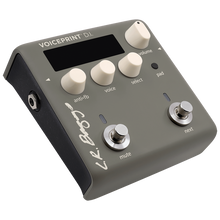Load image into Gallery viewer, LR Baggs VOICEPRINTDI Guitar Pedal Voiceprint DI
