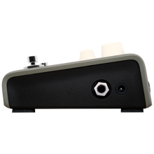 Load image into Gallery viewer, LR Baggs VOICEPRINTDI Guitar Pedal Voiceprint DI
