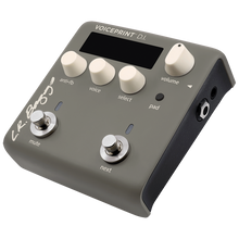 Load image into Gallery viewer, LR Baggs VOICEPRINTDI Guitar Pedal Voiceprint DI
