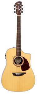 SGW S550DNS Dreadnought electric/acoustic guitar.