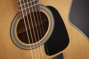 Takamine G10 Series NEX Acoustic Guitar - TGN10NS