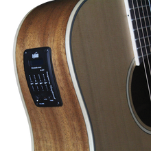 Load image into Gallery viewer, Tanglewood TW10 Winterleaf Dreadnought C/E Acoustic
