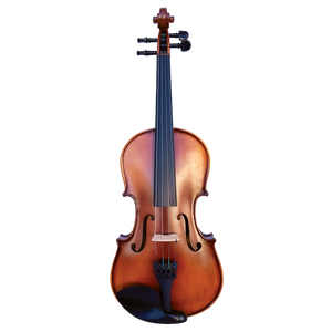 Vivo Encore 4/4 Student Violin Outfit