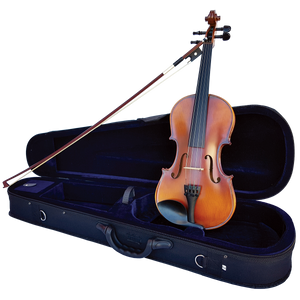 Vivo Encore 4/4 Student Violin Outfit