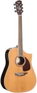 SGW S650D Dreadnought electric / acoustic guitar with Sharp Florentine cutaway